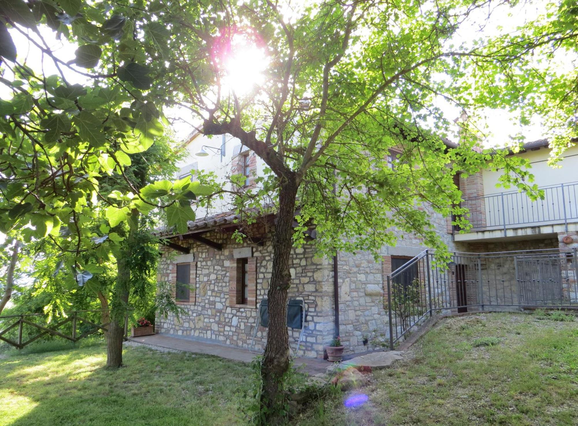 Agriturismo Casale Delle Lucrezie โตดี ภายนอก รูปภาพ