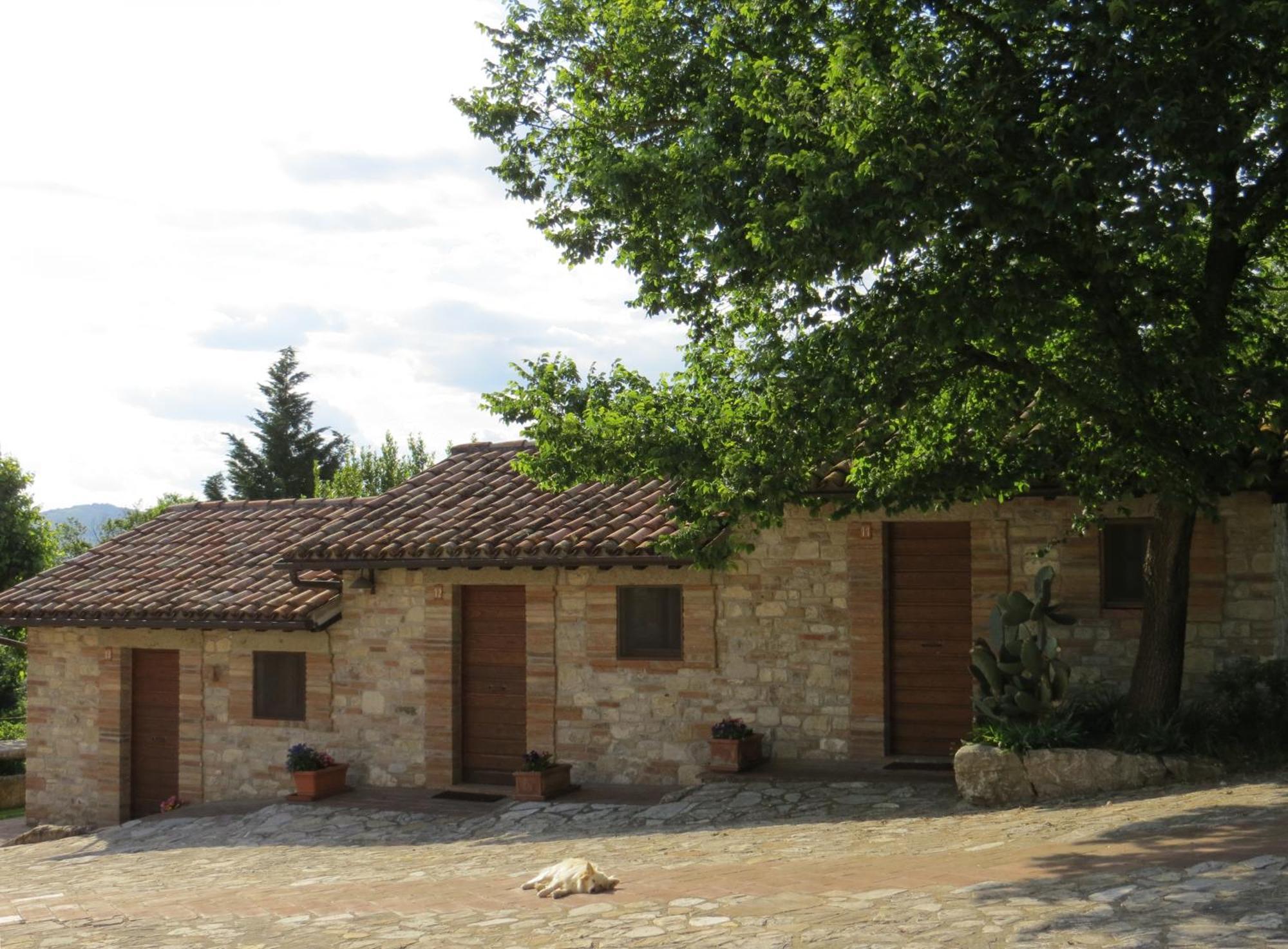 Agriturismo Casale Delle Lucrezie โตดี ภายนอก รูปภาพ